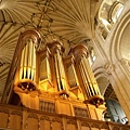 2006.10.14 Norwich Cathedral (40).JPG