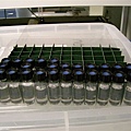 2007.03.06 UEA Project Std &amp; Samples Set up@Jickells's Lab (30).JPG