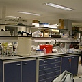 2007.05.03 UEA Project Autoanalsyer setup (24).JPG