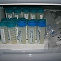 2007.05.31 Re-make Stds & Reagents (28).JPG