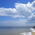 2007.07.08 North Norfok Coast - The edge, Cromer (59).JPG