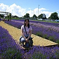 2007.07.09 Norfolk Lavender (32).JPG