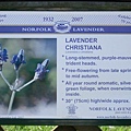 2007.07.09 Norfolk Lavender (104).JPG