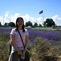 2007.07.09 Norfolk Lavender (115).JPG