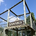 2007.08.11 Banham Zoo (19).JPG