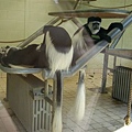 2007.08.11 Banham Zoo (50).JPG