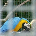 2007.08.11 Banham Zoo (69).JPG