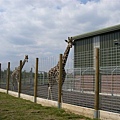 2007.08.11 Banham Zoo (72).JPG