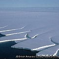 Icebergs calving from the edge of the Brunt Ice shelf, Weddell Sea..jpg