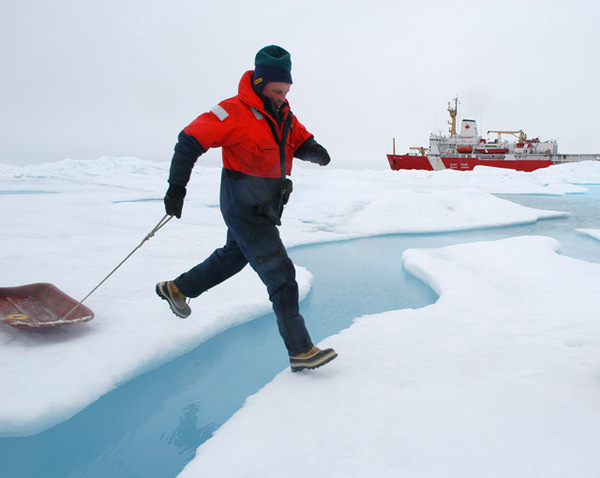 Leaping a melt pond@ChrisLinder, WHOI.jpg