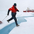 Leaping a melt pond@ChrisLinder, WHOI.jpg