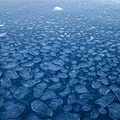 The Pancake Ice© Zenobia Evans, NSF.jpg