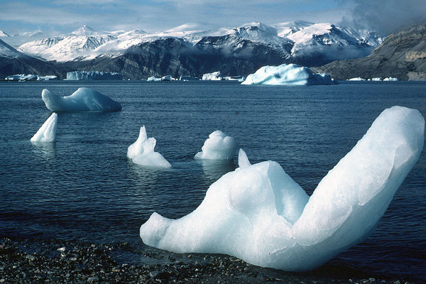 Icebergs in Antarctic Sund, East Greenland, derived from outlet glaciers from the ice sheet over 100