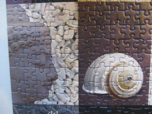 2010.11.25 1000 pcs Peace and Harmony (18).jpg