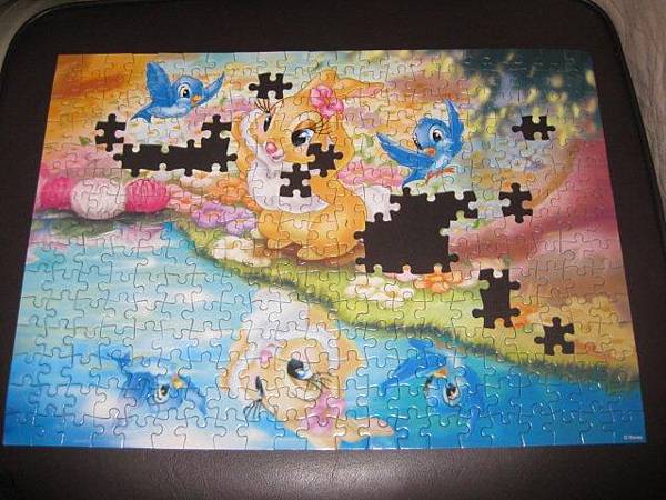 2011.06.24 300 pcs 水邊的兔美女 (11).jpg