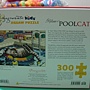 2011.07.01 300 pcs Pool Cat (1).jpg