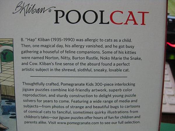 2011.07.01 300 pcs Pool Cat (4).jpg