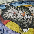 2011.07.01 300 pcs Pool Cat (22).jpg