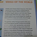 2011.07.03 300 pcs Wings of the world (3).jpg