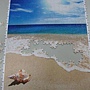 2011.08.04 500 pcs 貝殼與海 (12).jpg