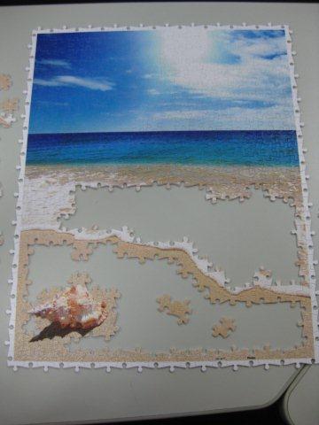 2011.08.04 500 pcs 貝殼與海 (11).jpg