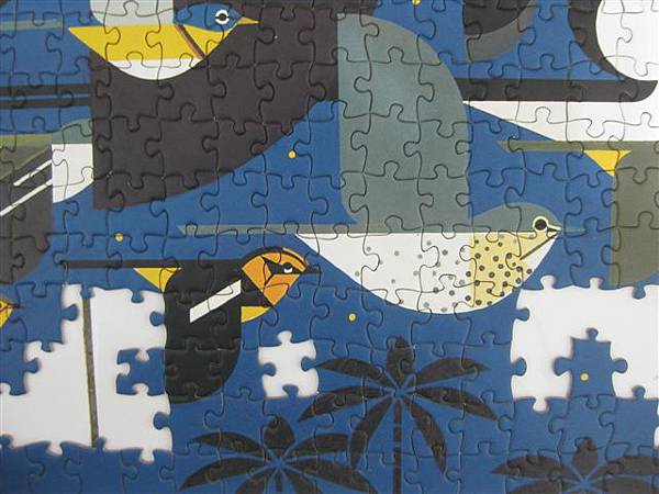 2011.08.31 1000P 遷徙之謎 (4).JPG