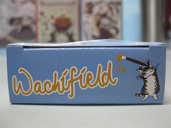 2011.09.03 99 pcs Daan Series 1 (2).JPG