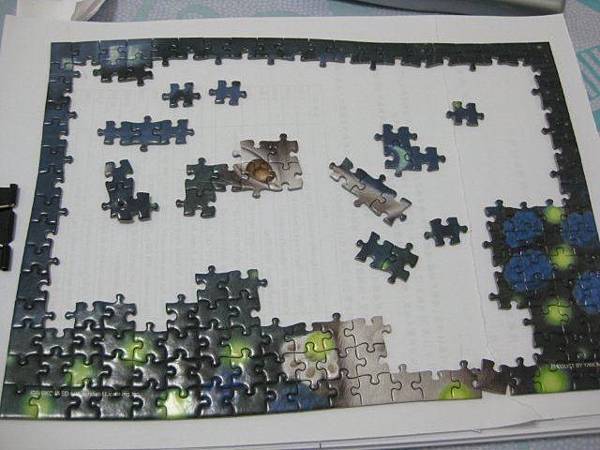 2011.09.15 mini 300 pcs Fireflies at the Riverside (1).jpg