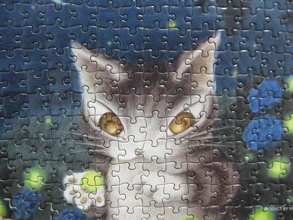 2011.09.15 mini 300 pcs Fireflies at the Riverside (6).jpg