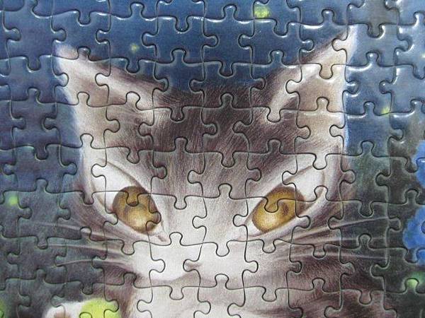 2011.09.15 mini 300 pcs Fireflies at the Riverside (13).jpg