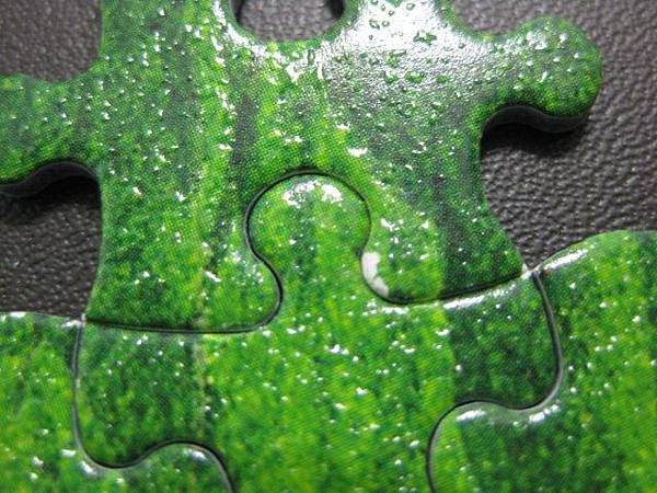 2011.10.03 1000 pcs 兔兔排排坐_品質很差的雷諾瓦 (9).jpg