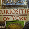 2011.10.13 300 pcs Curiosities of York (10).jpg