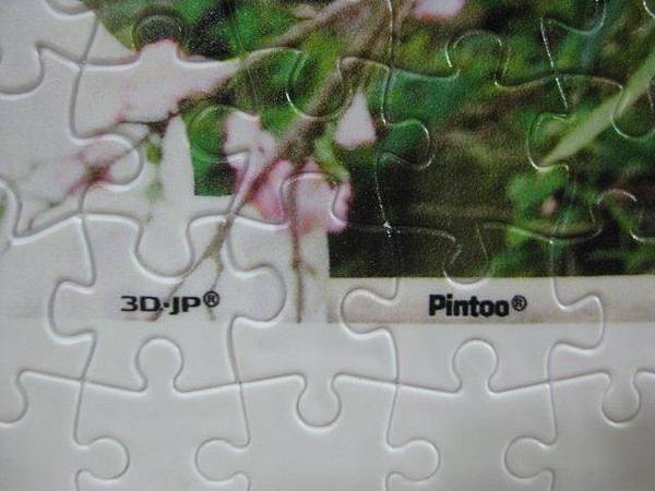 2011.10.22 300 pcs 濃情蜜意婚紗客拼 (11).jpg