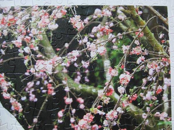 2011.10.22 300 pcs 濃情蜜意婚紗客拼 (12).jpg