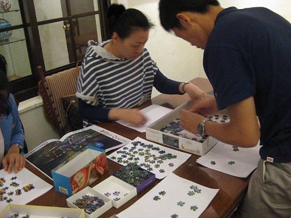 2011.10.23 2000 pcs Animal Jungle (3).jpg