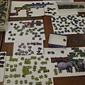 2011.10.23 2000 pcs Animal Jungle (5).jpg