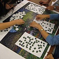 2011.10.23 2000 pcs Animal Jungle (8).jpg