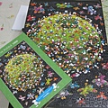 2011.10.29-30 1000 pcs 繞著地球跑 (6).JPG