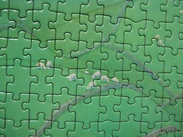 2011.11.08 750 pcs Pure Wool (13).jpg