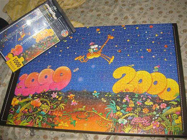 2011.11.18~19 1000 pcs Millennium Jump (21).JPG