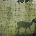 2012.03.12 1000 pcs 迷霧之鹿Deer (7)