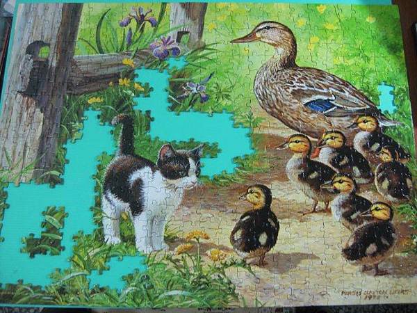 2012.05.04 500P Duck Inspector (4)