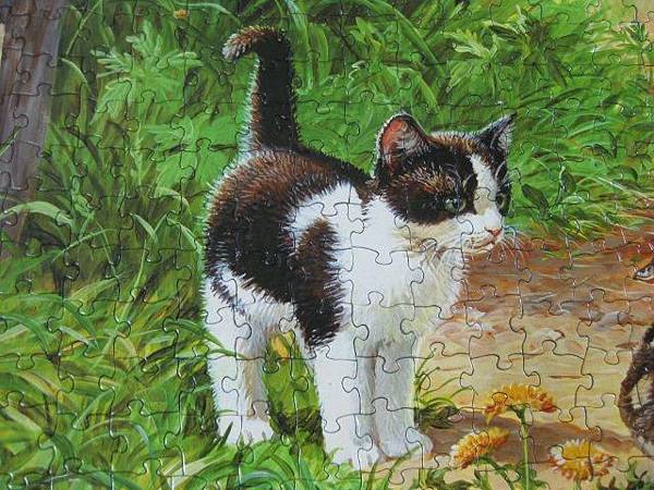 2012.05.04 500P Duck Inspector (7)