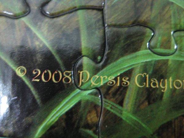 2012.05.04 500P Duck Inspector (12)