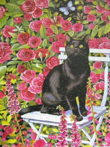 2012.05.05 500P Rose Garden, Chrissie Snelling (3)