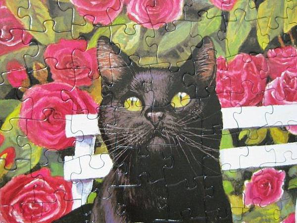 2012.05.05 500P Rose Garden, Chrissie Snelling (8)