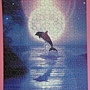 2012.05.18 500P Dolphin by the Moonlight (3)