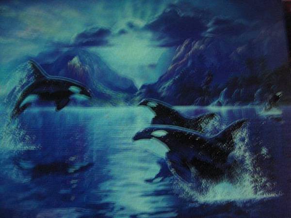 2012.05.19 藝灣拼圖@中壢 (22)