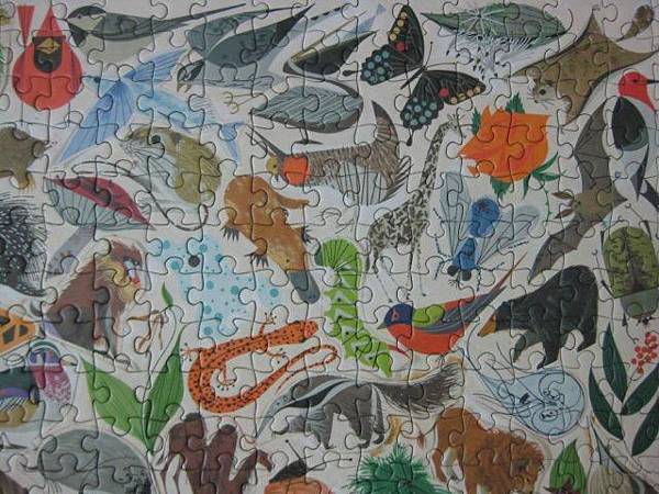 201205.24 500P Tree of Life 生命之樹 (8)