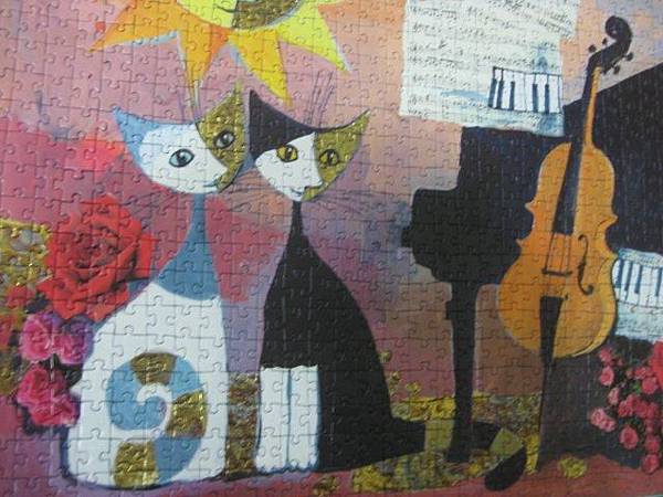 2012.05.26 1000P Cello (16)